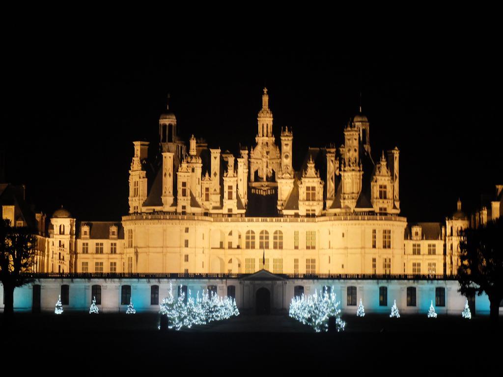 Auberge Du Grand Dauphin Dhuizon Exteriér fotografie